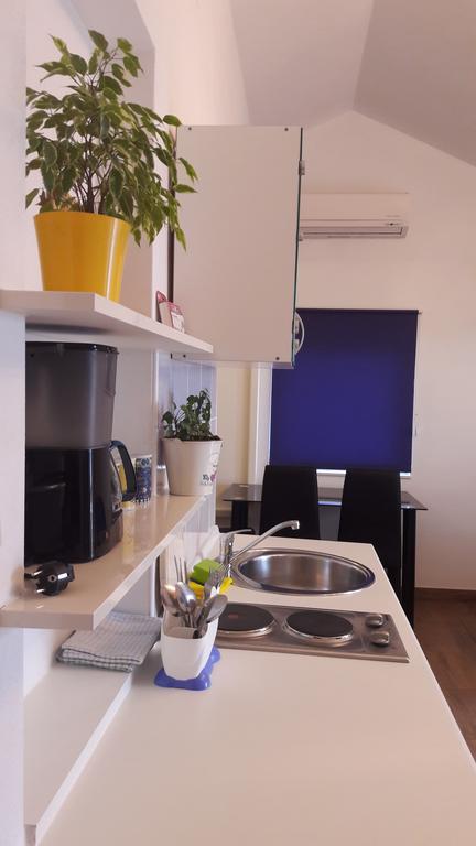 Apartments Velic ツリクヴェニツァ エクステリア 写真